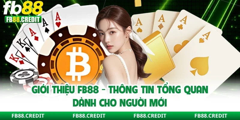 Giới Thiệu FB88 - Thông Tin Tổng Quan Dành Cho Người Mới