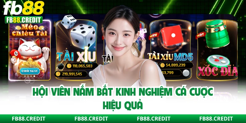 Hội viên nắm bắt kinh nghiệm cá cược hiệu quả
